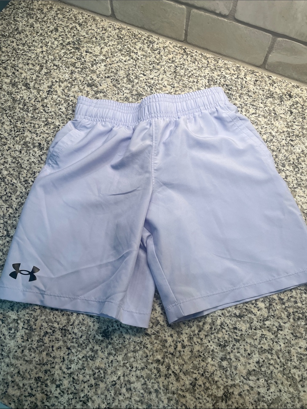 Under Armour Lavender Performance Shorts